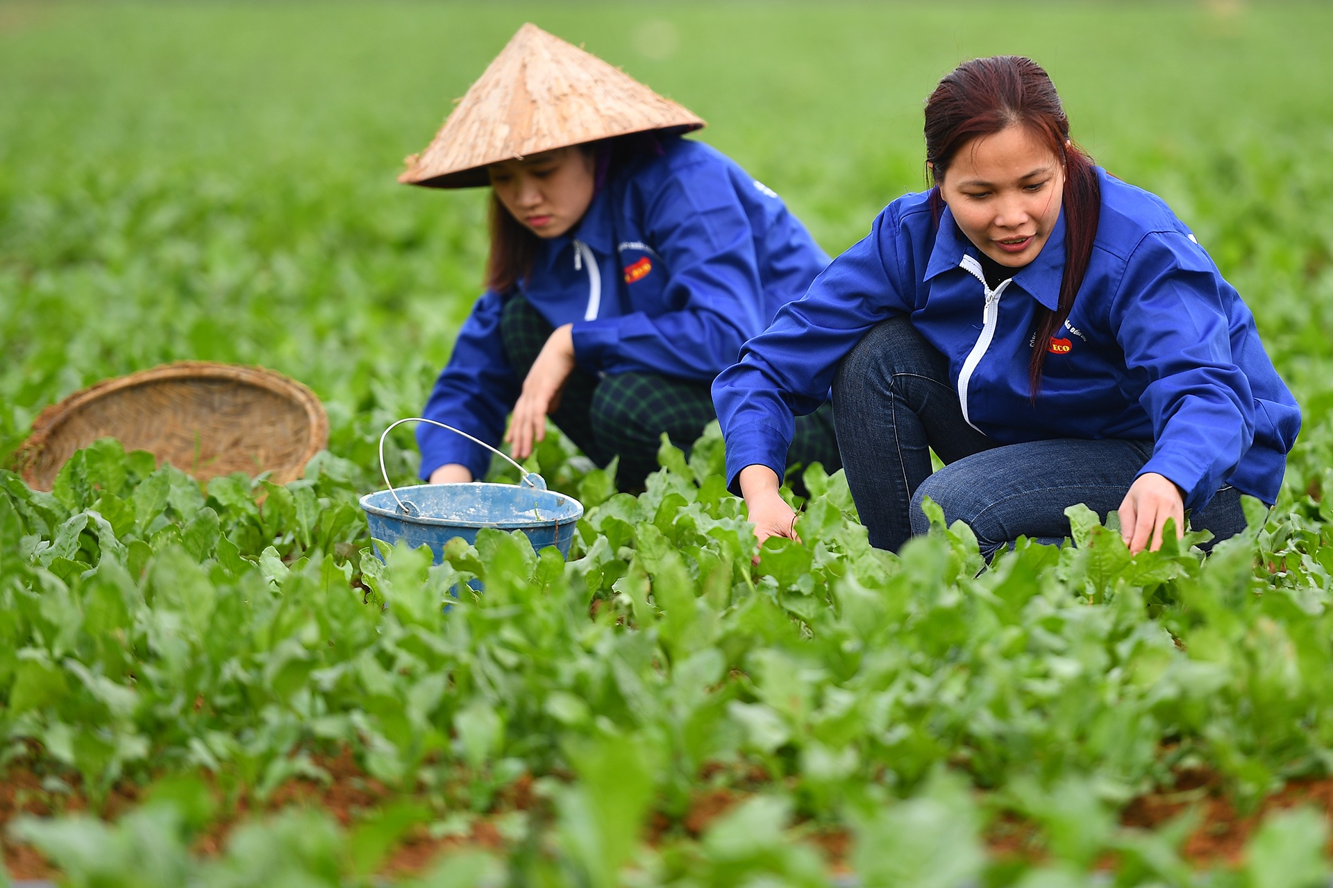 lao dong nu lam ngay den do huong them luong anh 1