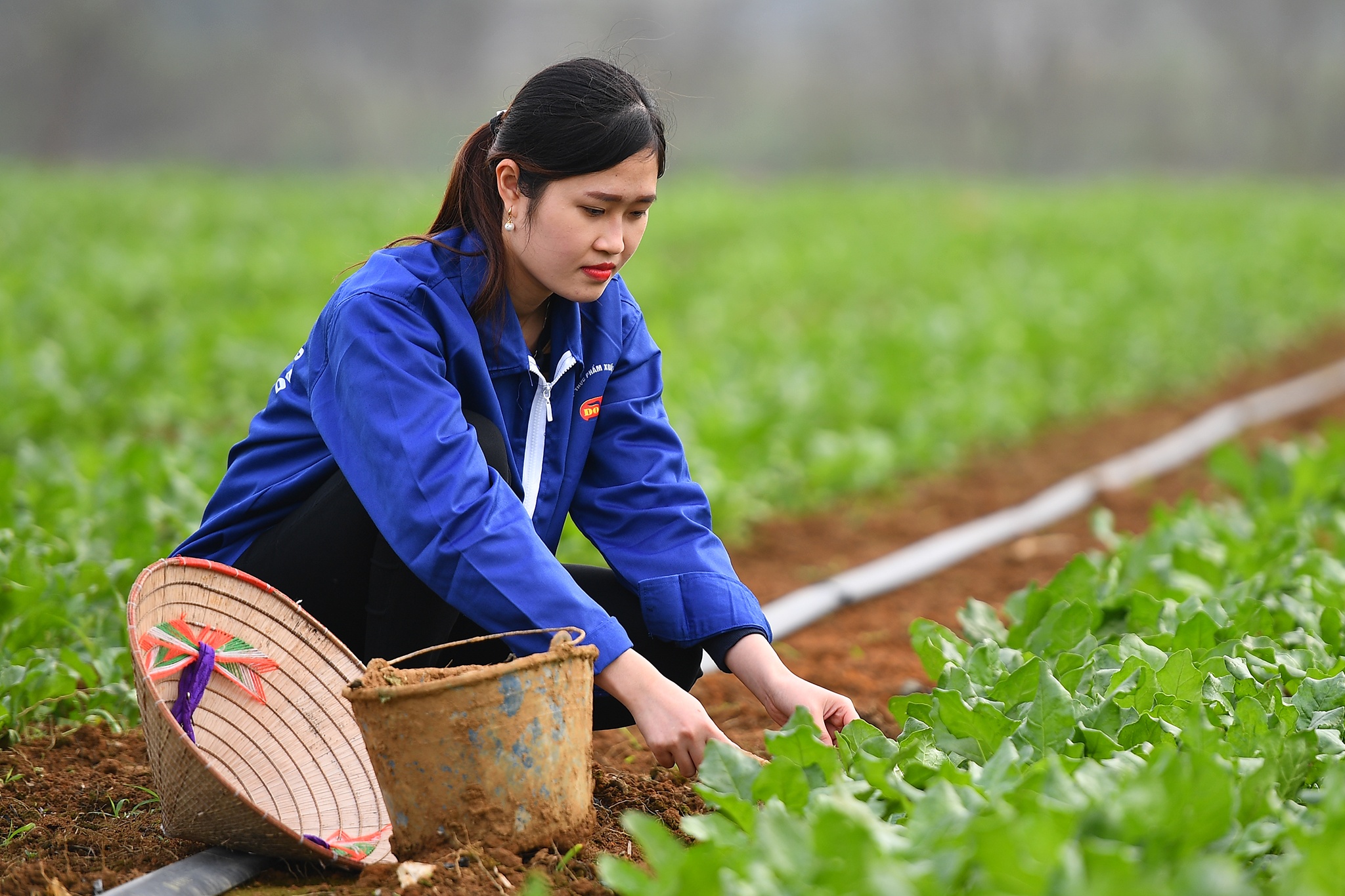 Nu lao dong duoc them tien luong khi lam viec ngay 'den do' hinh anh