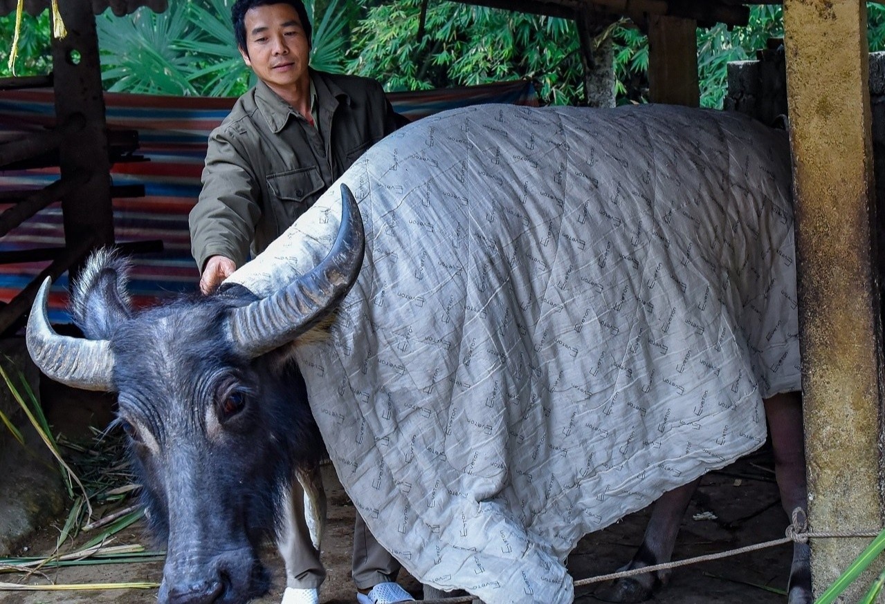 1.600 gia suc chet do bang gia, ret hai hinh anh