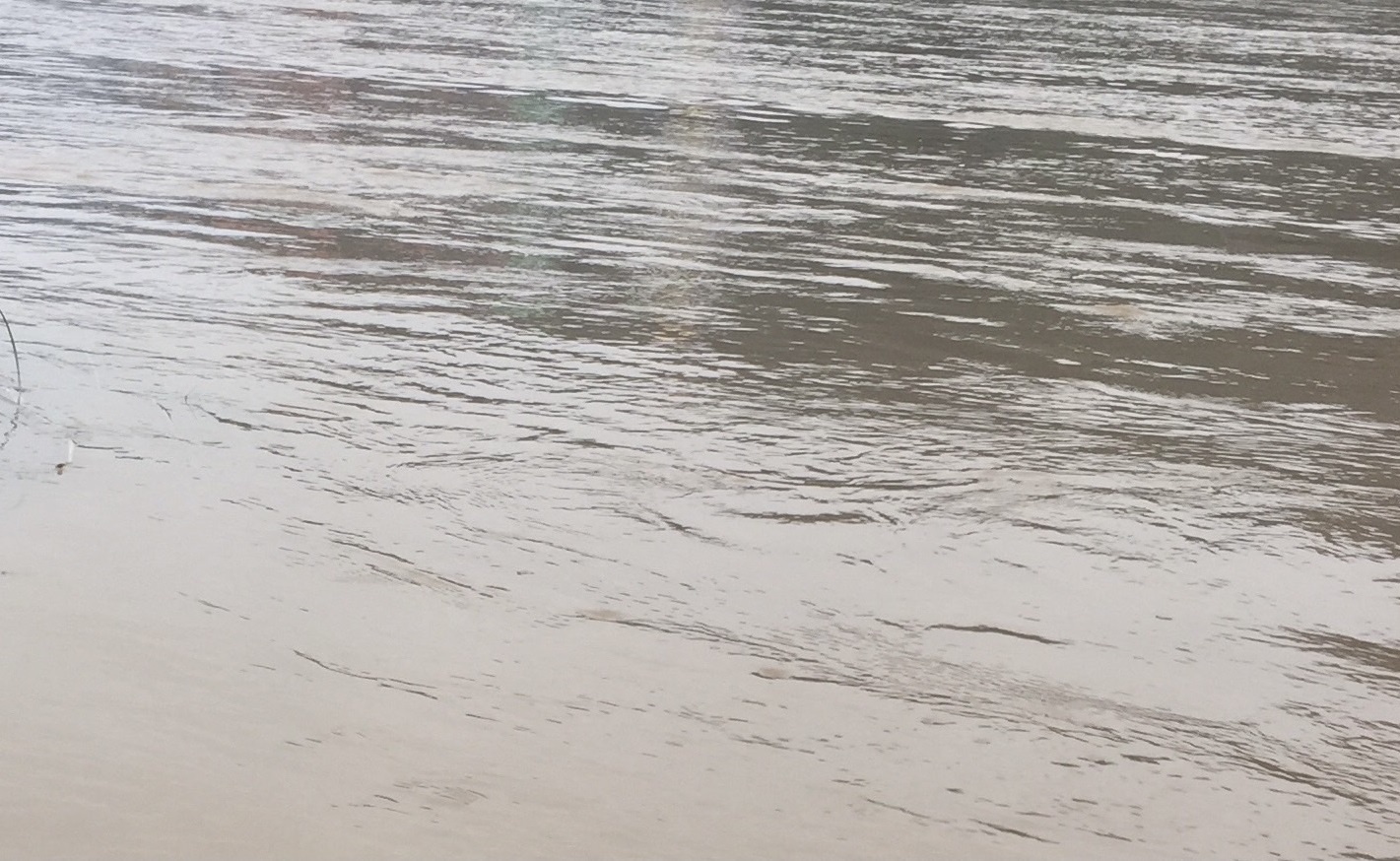 nuoc song Hong chuyen mau xanh anh 1