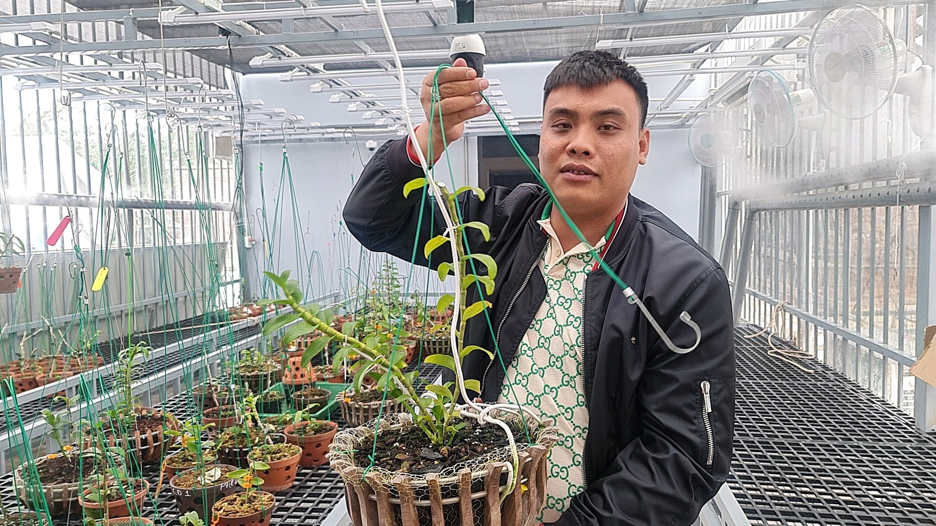 lua dao lan dot bien o Ha Noi anh 2