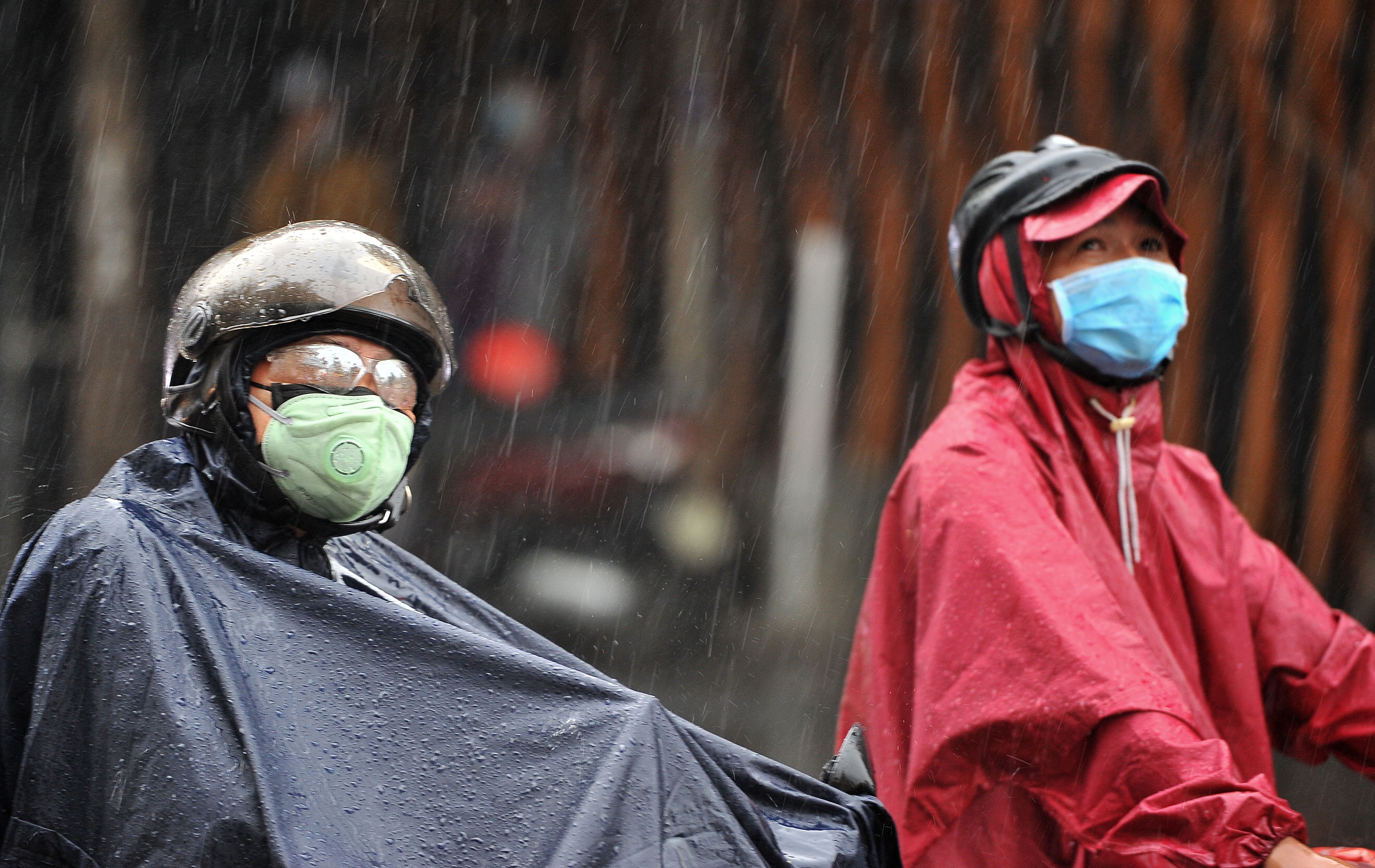 Ha Noi sap don mua 'vang' sau chuoi ngay nong 40 do C hinh anh