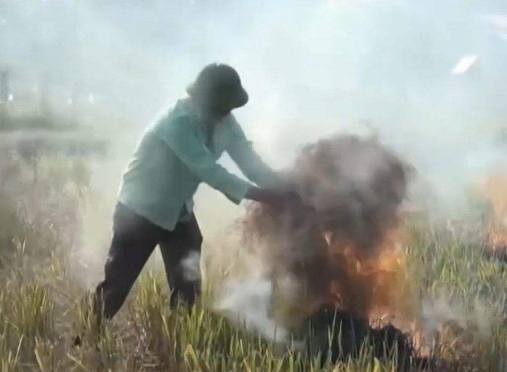 O nhiem khong khi, Bo Tai nguyen - Moi truong yeu cau khong dot rom ra hinh anh