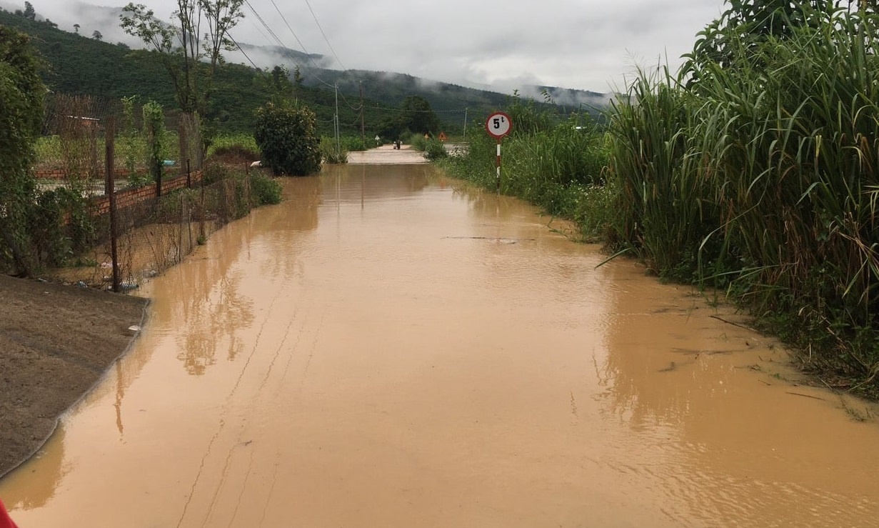 Lam Dong co the don lu cao lich su hinh anh