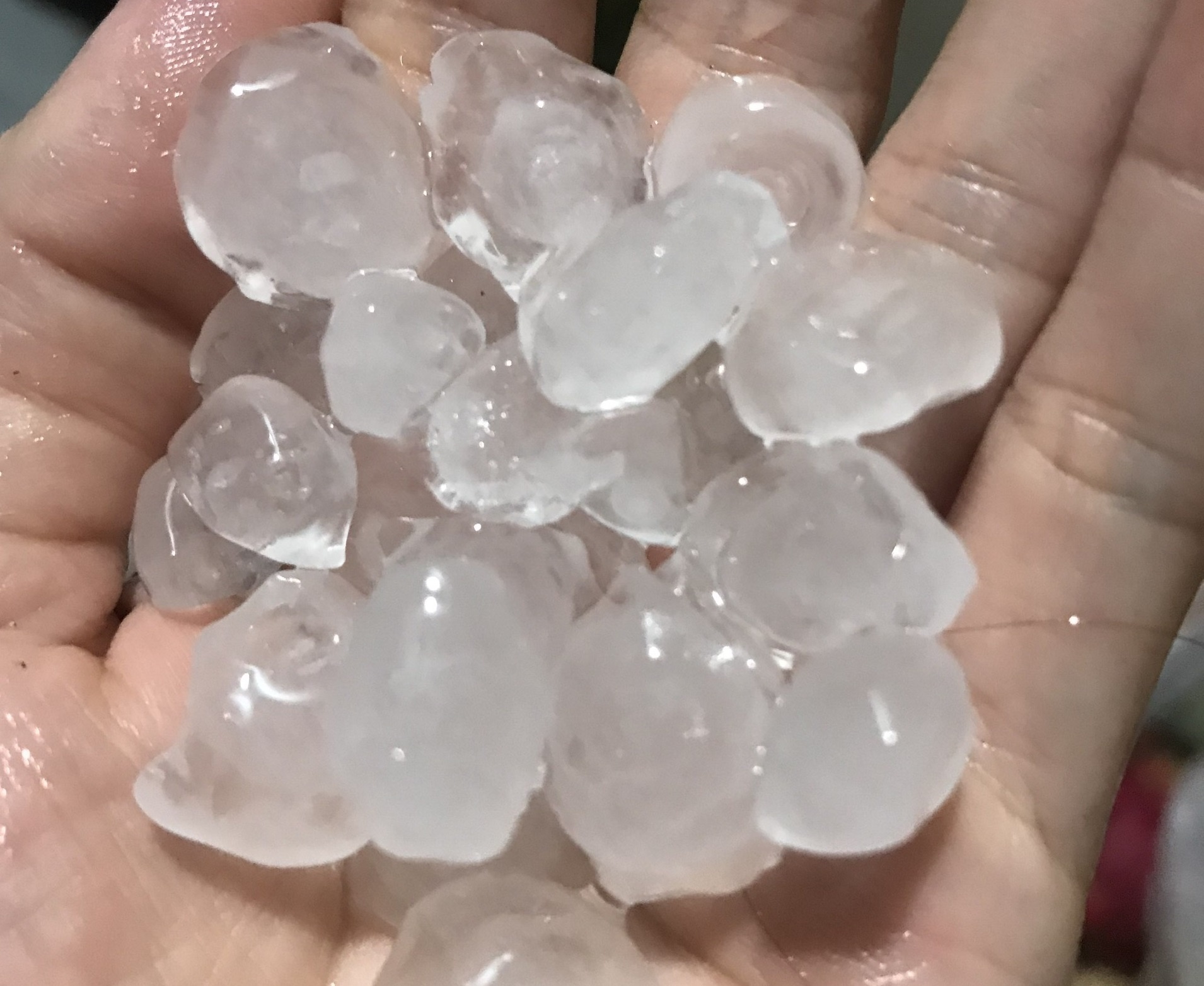 mua da o TP.HCM anh 1