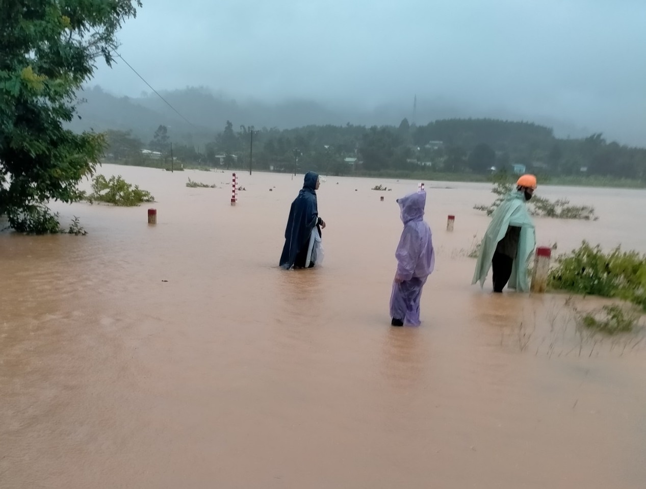 Quang Tri - Binh Dinh mua 350 mm, canh bao ngap lut dien rong hinh anh