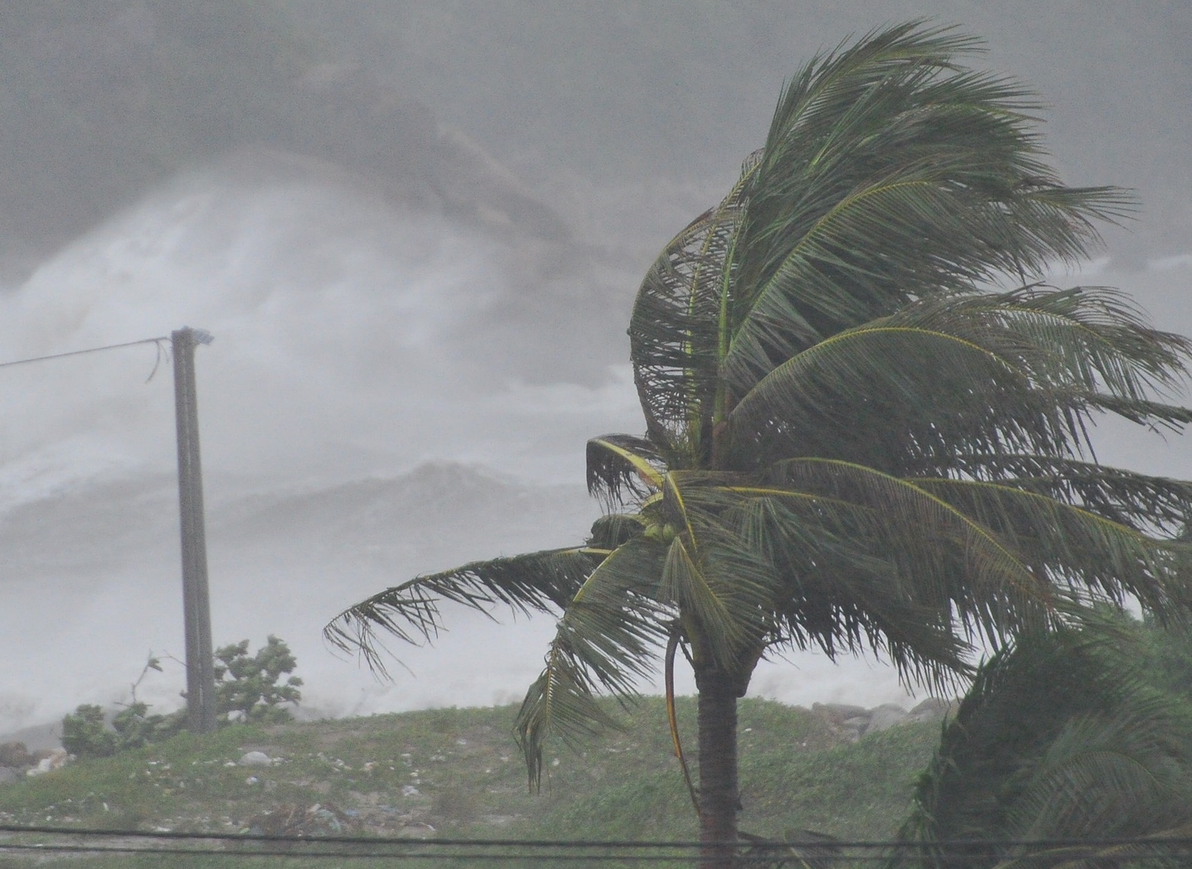 Bien Dong sap don bao, mien Trung mua lon hinh anh