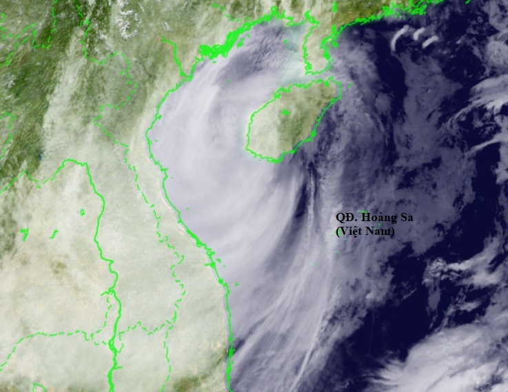 Bao so 8 vao vinh Bac Bo dem nay hinh anh