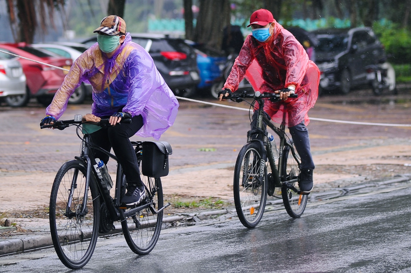 mua mua o Nam Bo anh 1