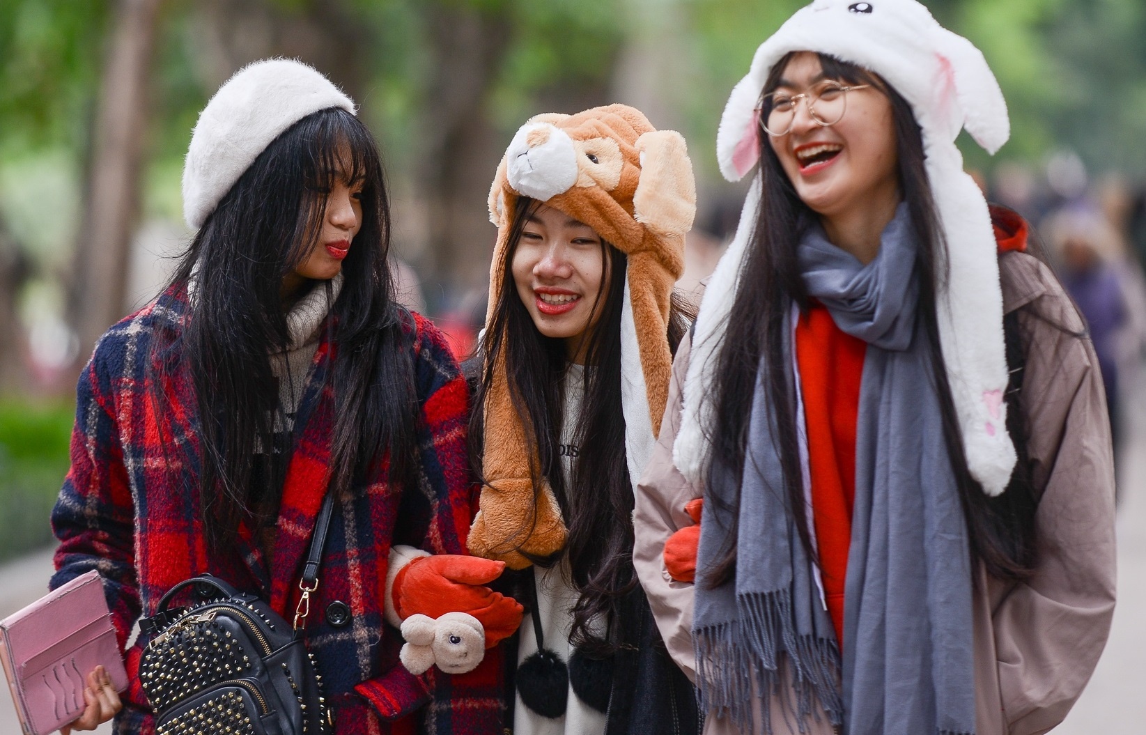 Mien Bac don khong khi lanh manh nhat tu dau mua hinh anh