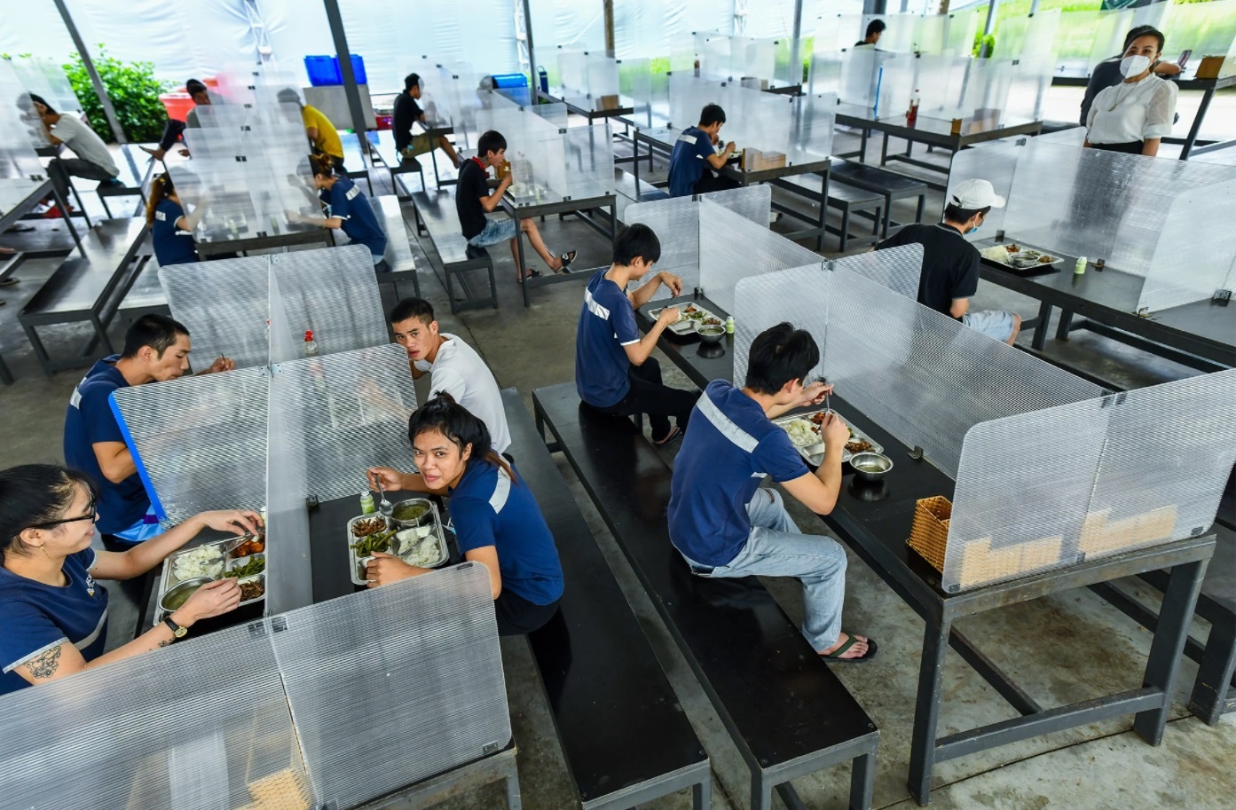 giai phap phuc hoi thi truong lao dong anh 1