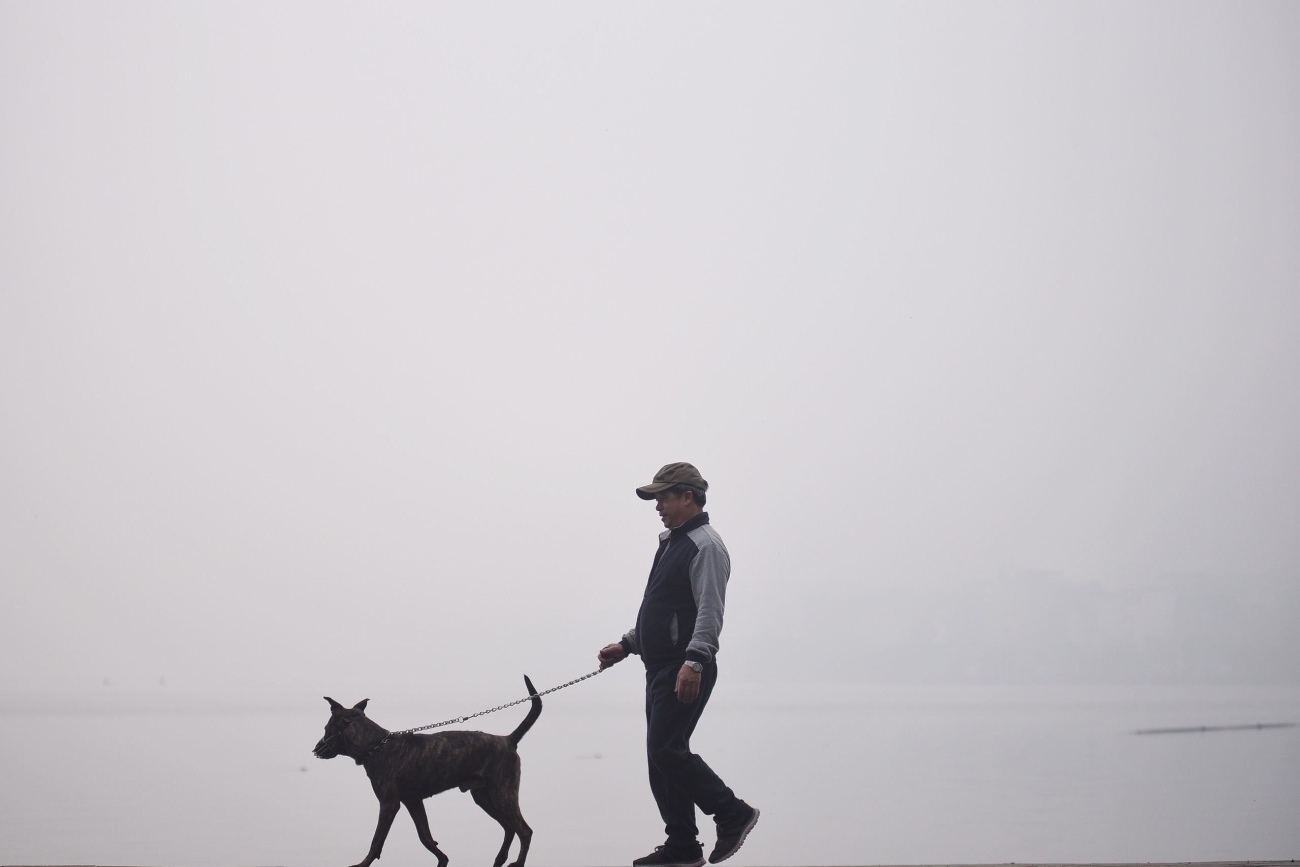 Ha Noi o nhiem khong khi nghiem trong hinh anh