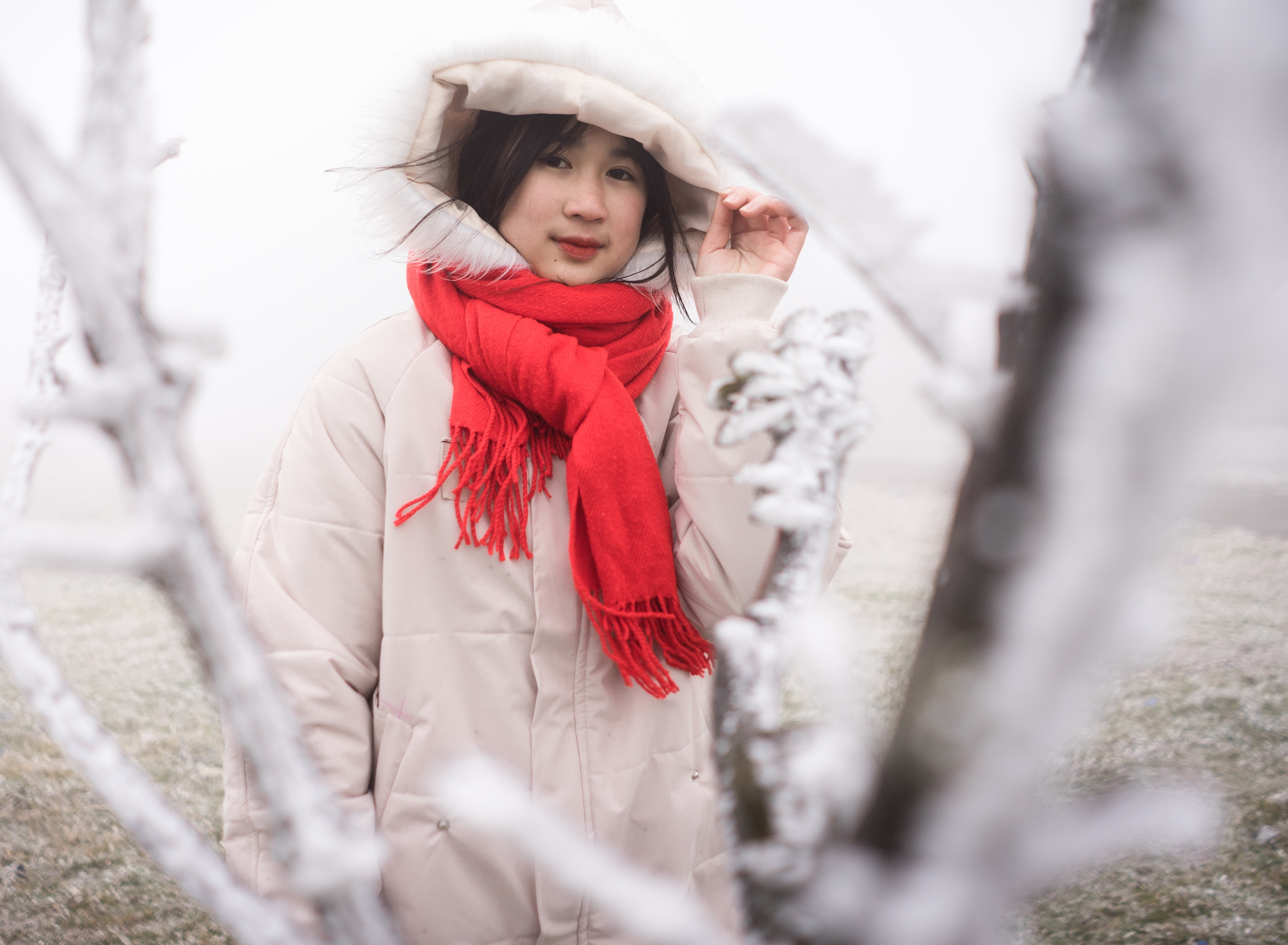 Mien Bac ret dam dien rong vao mung 3 Tet hinh anh