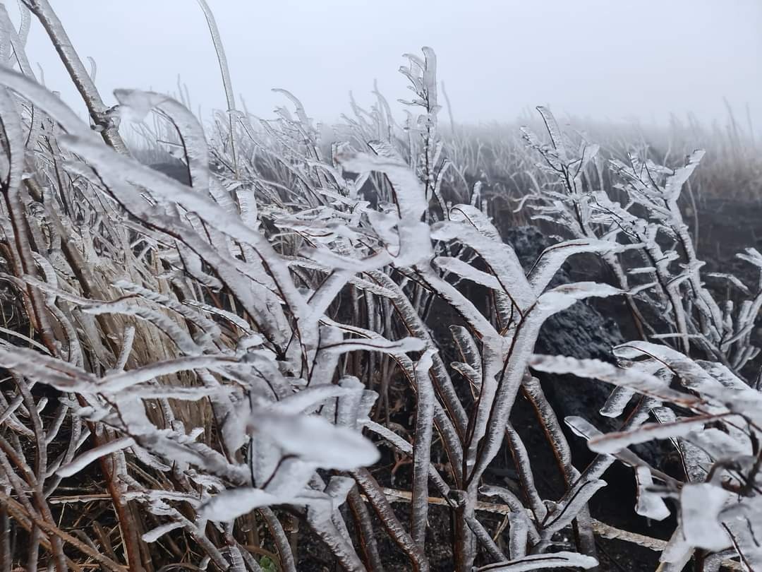 bang gia o cac dinh nui anh 1