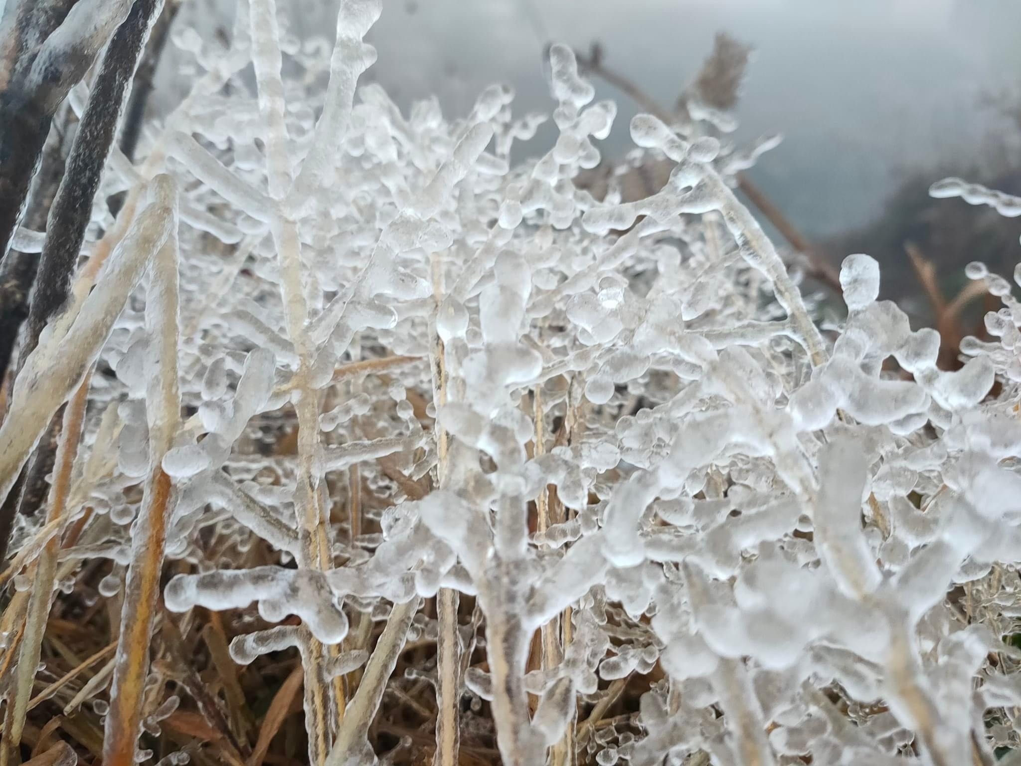 Bang gia phu trang Phia Oac, Lao Than hinh anh