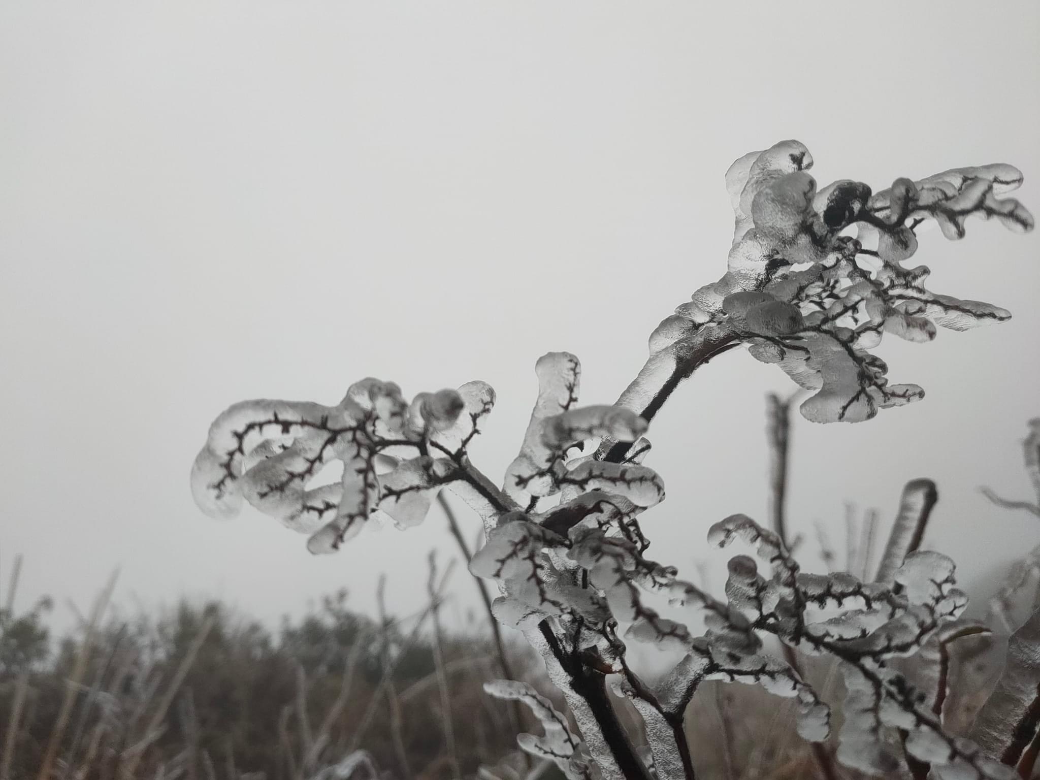 bang gia o cac dinh nui anh 3