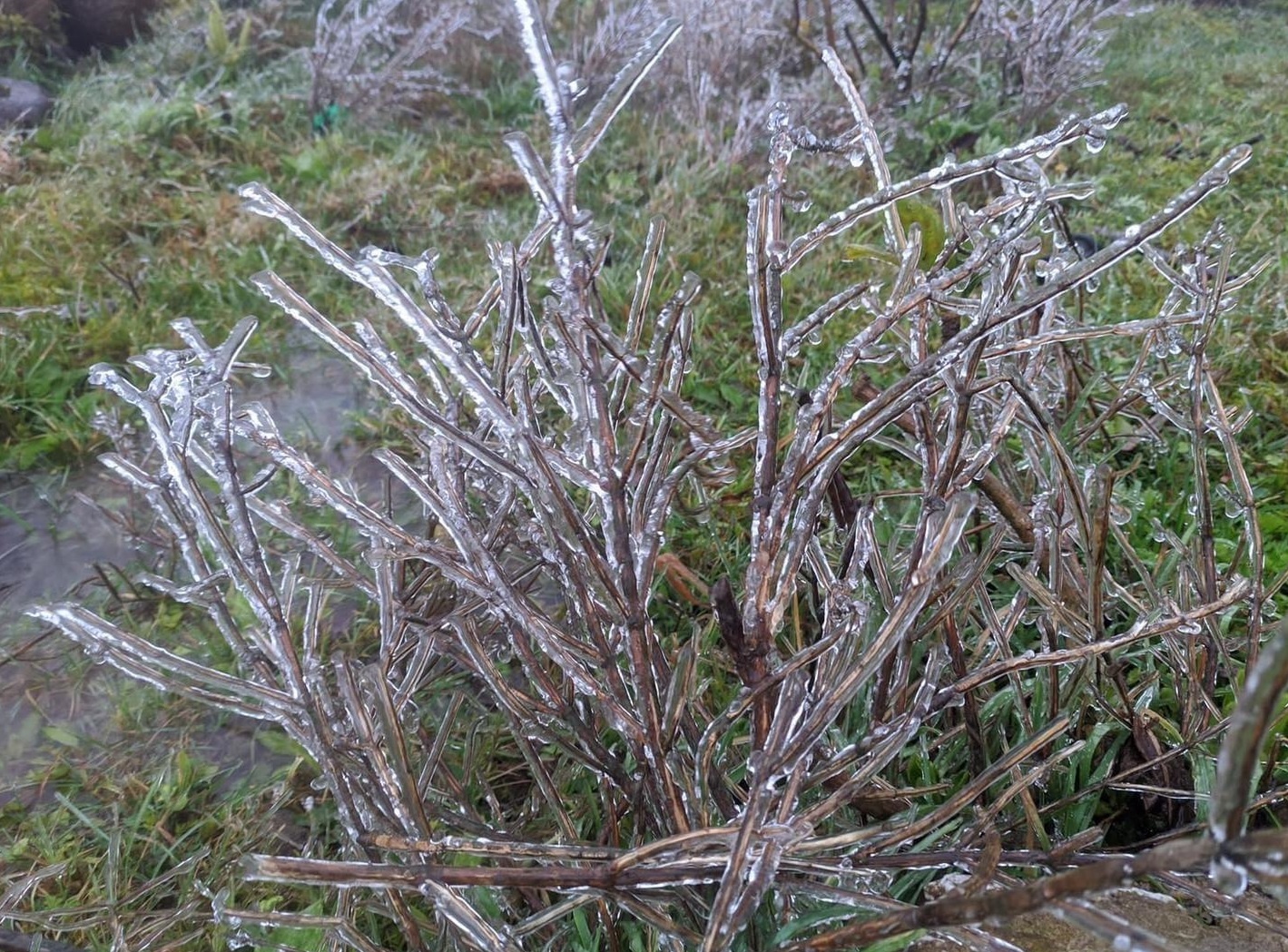 bang gia o cac dinh nui anh 7