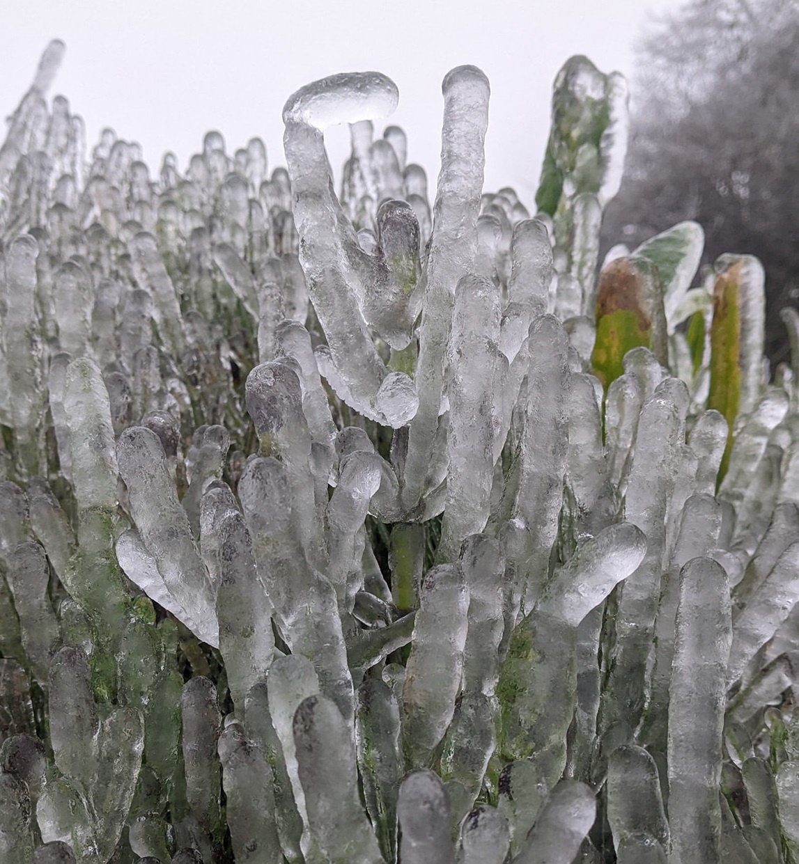 bang gia o cac dinh nui anh 6