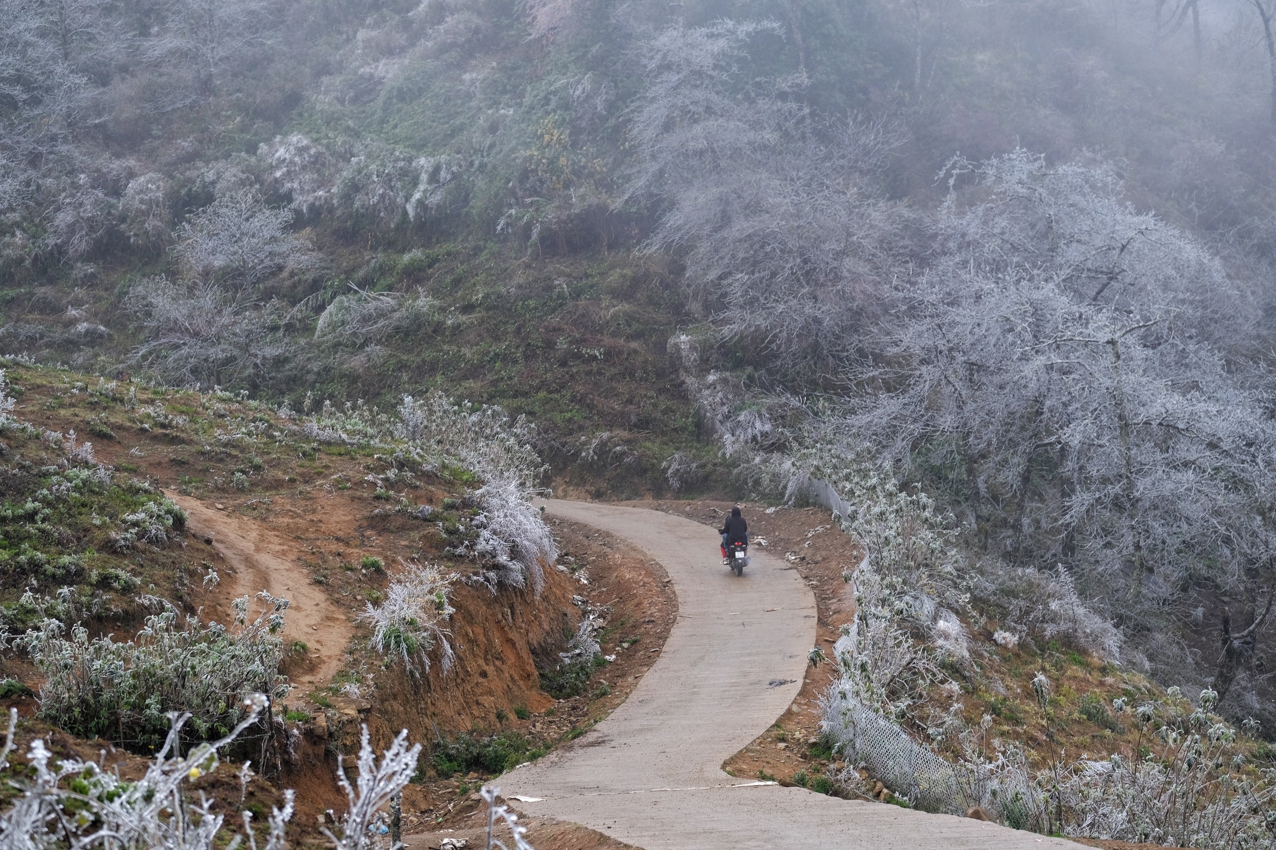 thoi tiet mien Bac tang nhiet anh 1