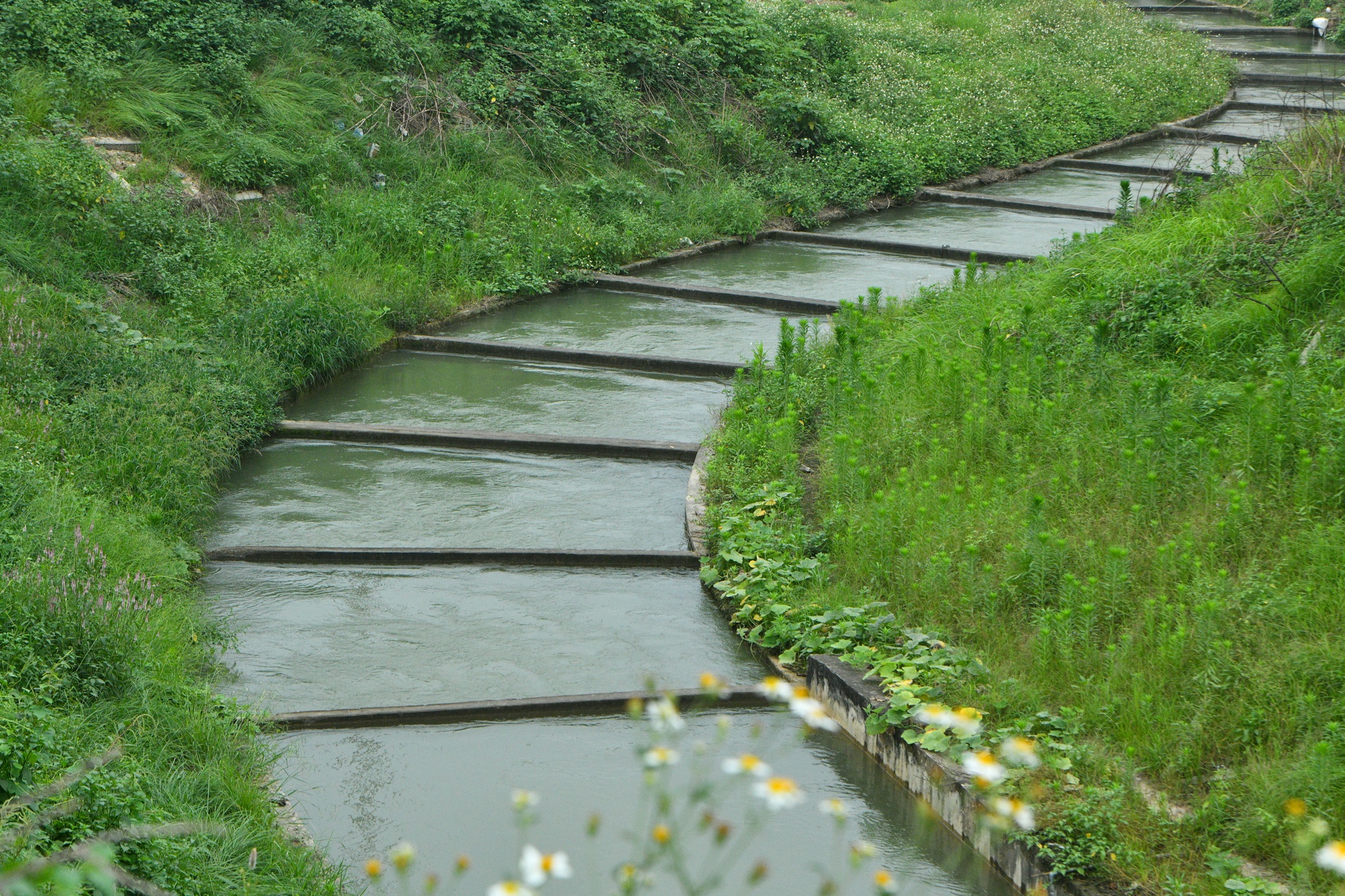 nha may nuoc mat song Hong anh 14