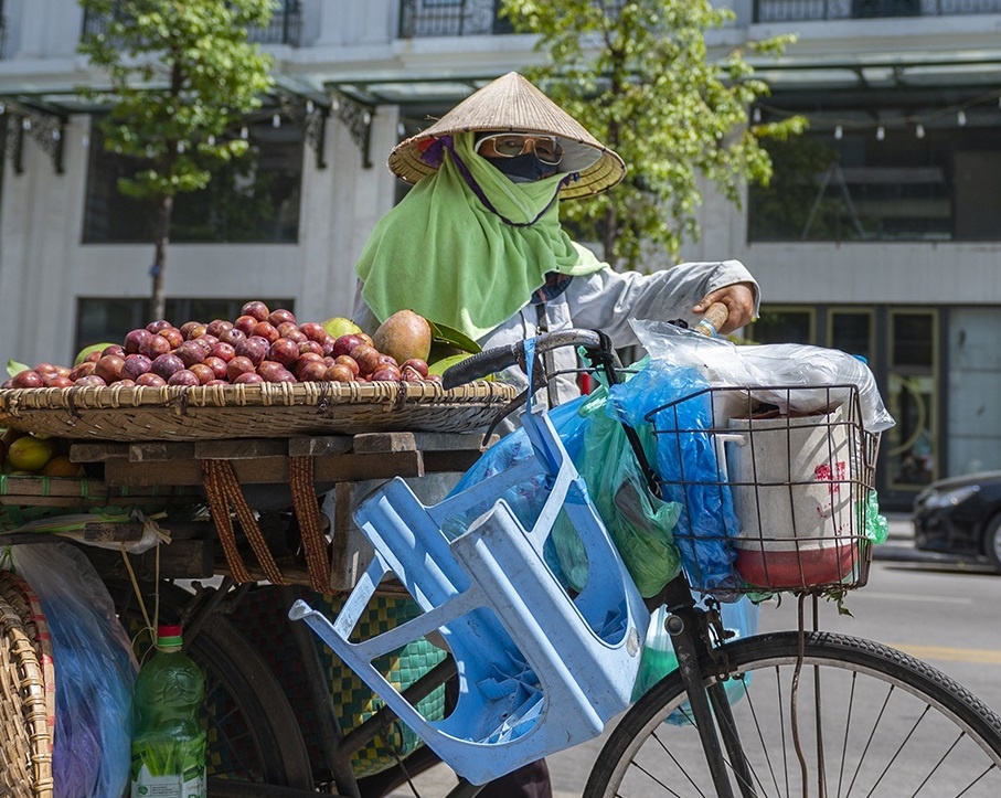 Ha Noi lap may tu dong ban hoa qua de thay the hang rong hinh anh