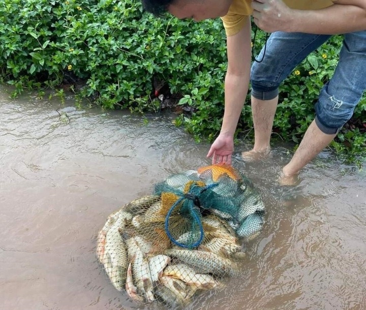 ngap lut o Vinh Phuc anh 6