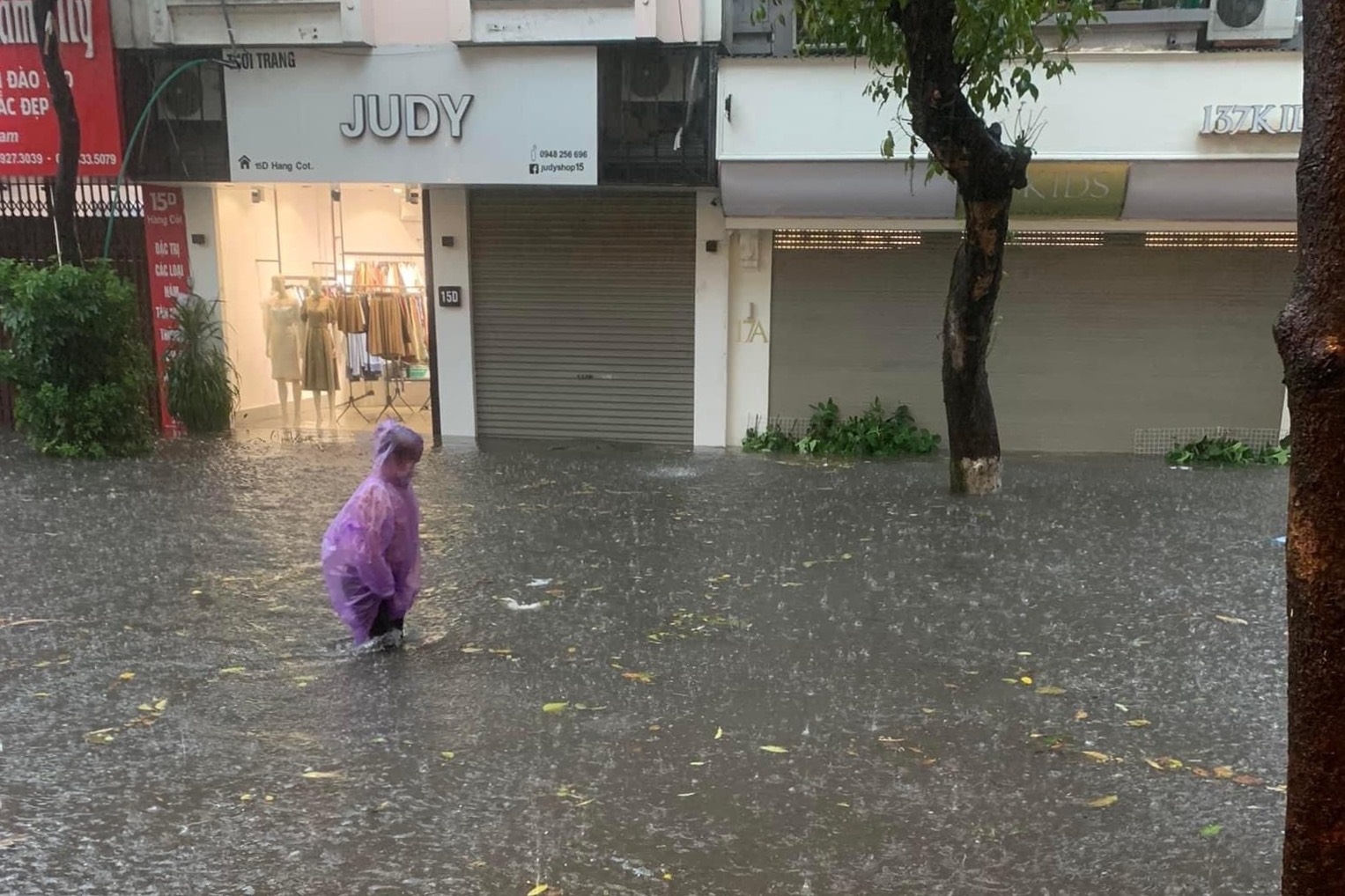 mua dong o Ha Noi anh 6
