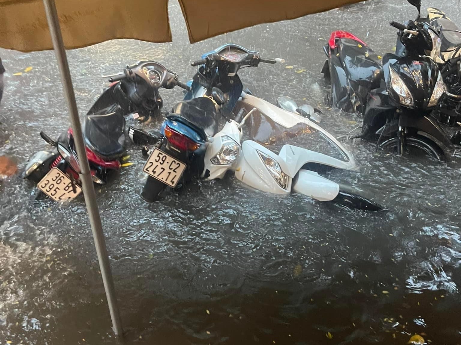 mua dong o Ha Noi anh 7