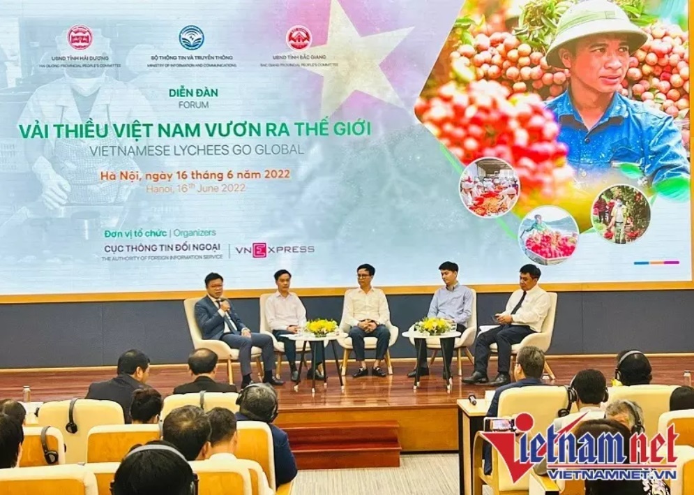vai thieu Viet Nam vuon ra the gioi anh 4