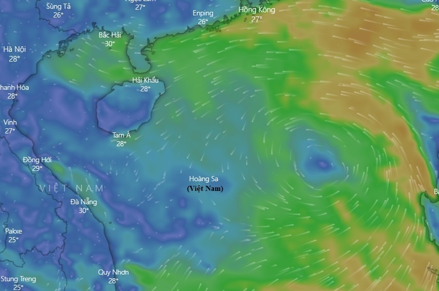 bao tren Bien Dong anh 1