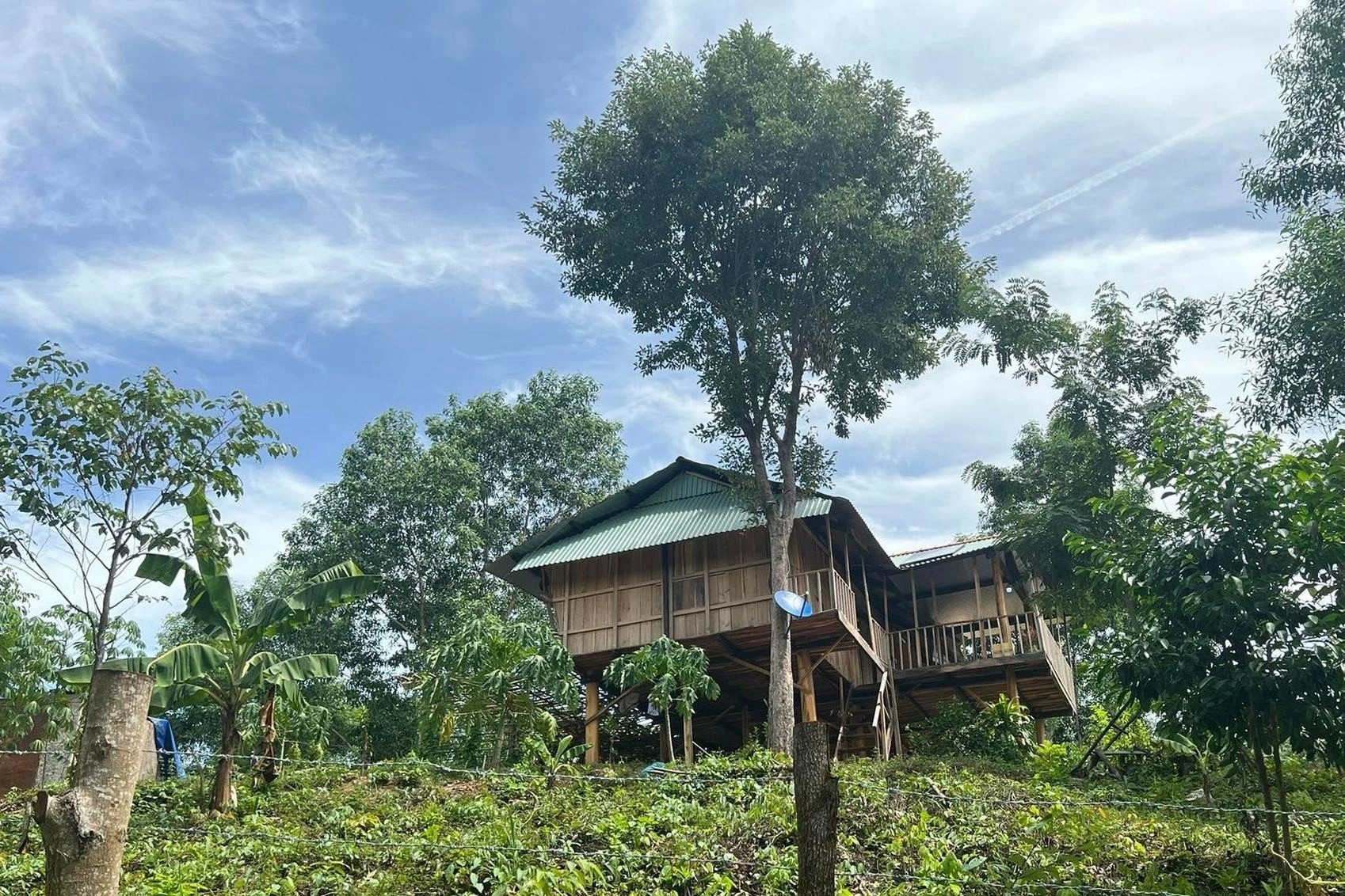 Vo chiem dat rung, chong la chanh an nguy co bi xu ly hinh anh