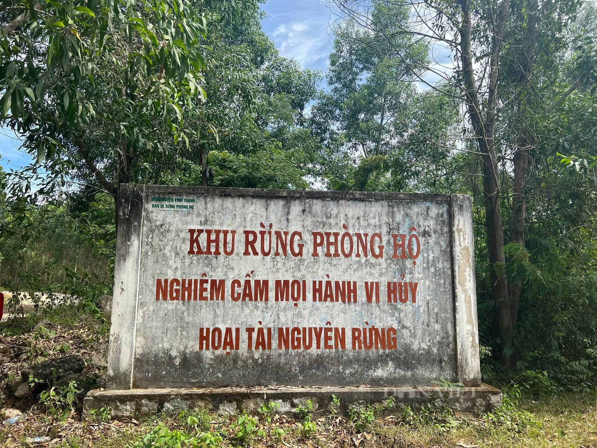 Vo Chanh an chiem dat rung phong ho lam nha cho nghi huu anh 2