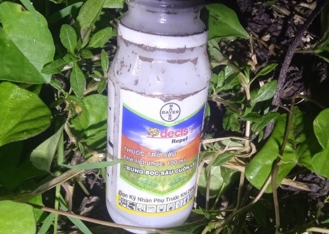 tom bi dau doc anh 2