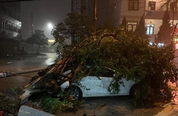 bao do bo Quang Ninh anh 3