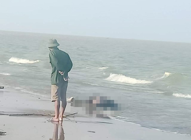 Thi the nam thanh nien nghi nhay cau tu tu dat vao bo bien hinh anh