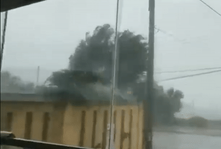 Hinh anh dau tien tu dao Ly Son khi bao Noru anh huong hinh anh