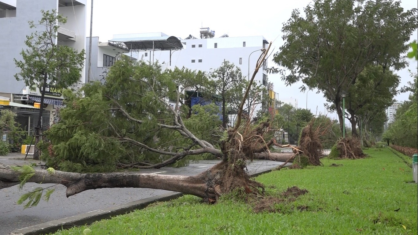 bao Noru vao mien Trung anh 7