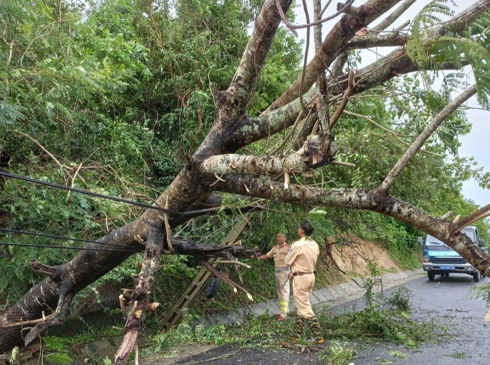 bao Noru vao mien Trung anh 8