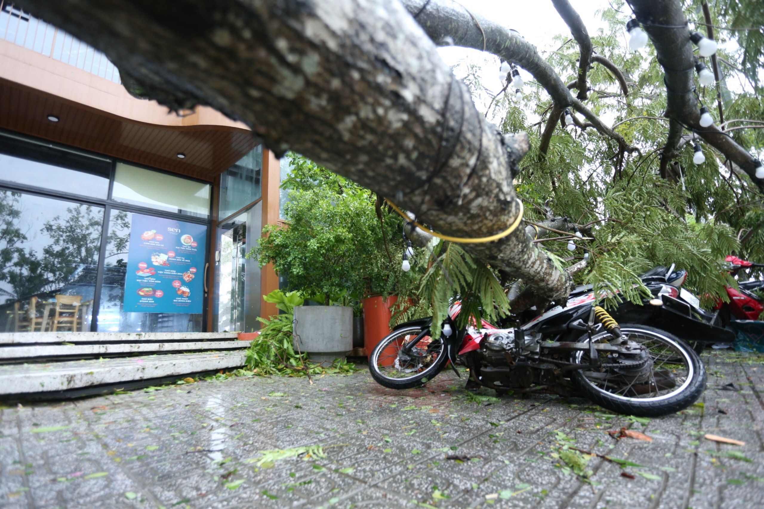 bao Noru vao mien Trung anh 3