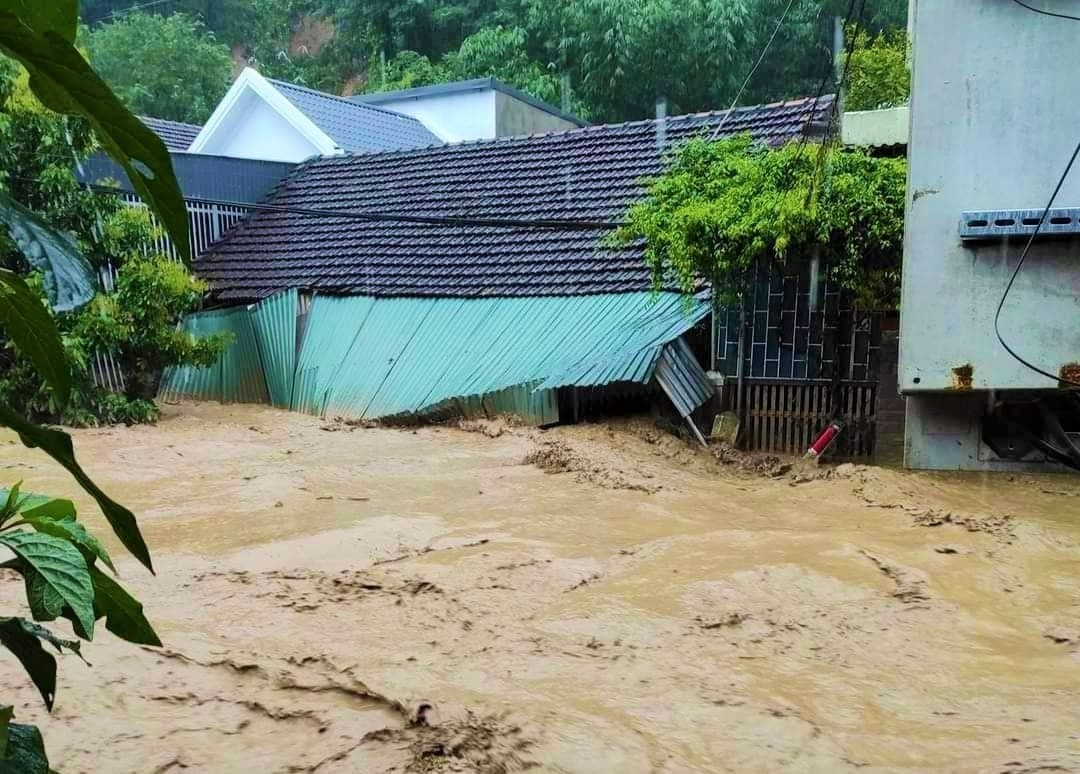 mua dong mien Bac anh 3