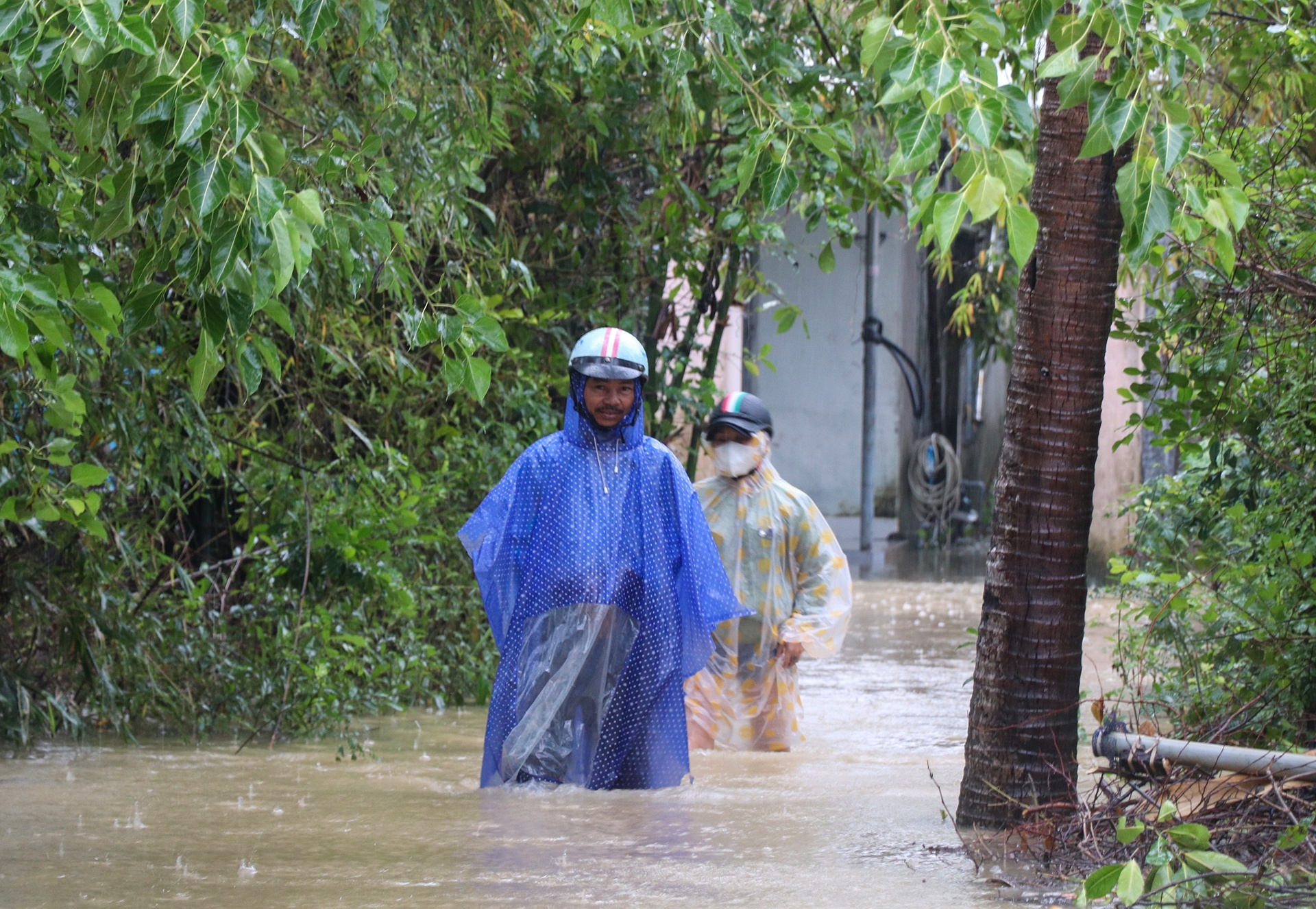 Mien Trung mua lon don dap, Thu tuong chi dao khan hinh anh
