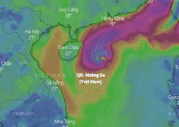 Du bao duong di cua bao Nesat sap vao Bien Dong hinh anh