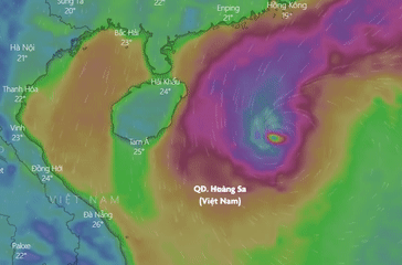 Du bao duong di cua bao so 6 - Nesat hinh anh