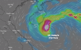 Du bao tac dong cua bao Nesat tren bien va dat lien hinh anh