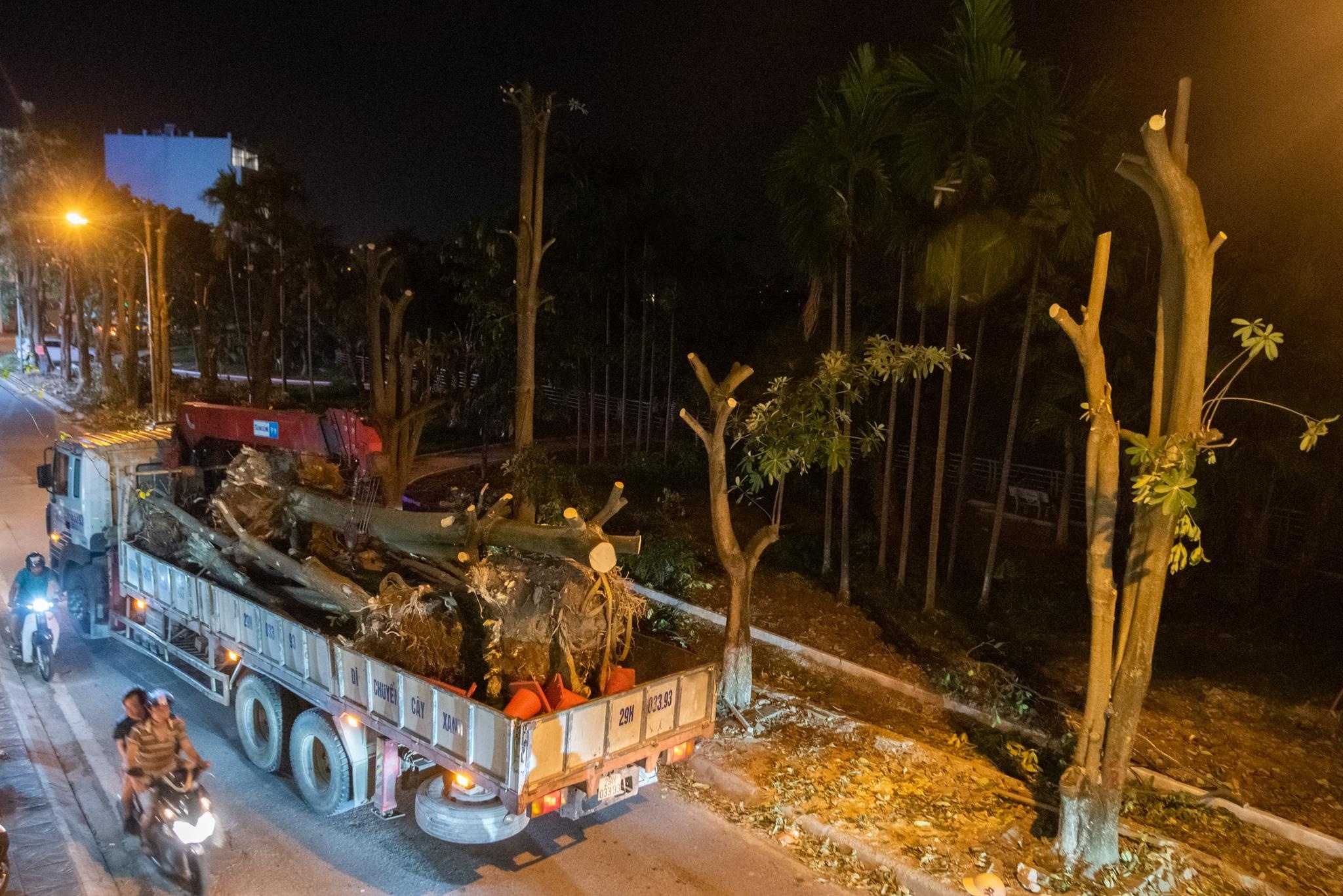 di doi hoa sua anh 1