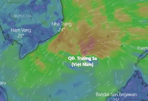 Du bao duong di cua ap thap nhiet doi sap anh huong den Nam Bo hinh anh