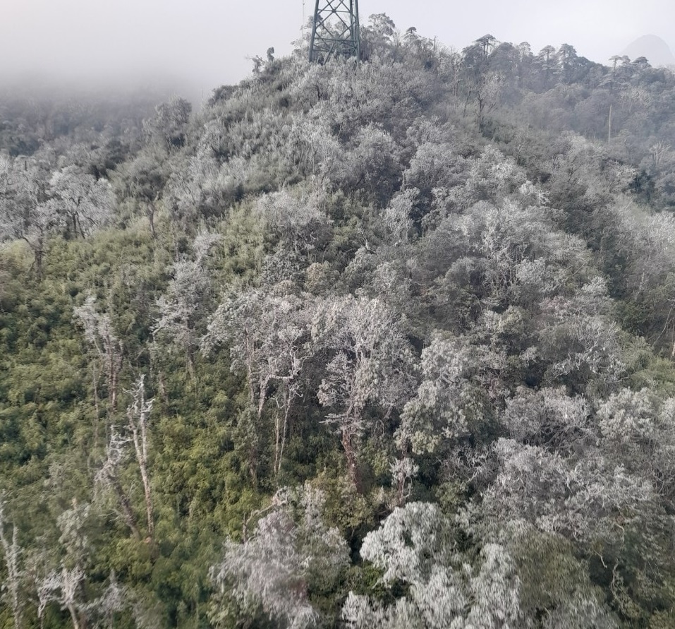 bang gia dinh Fansipan anh 7