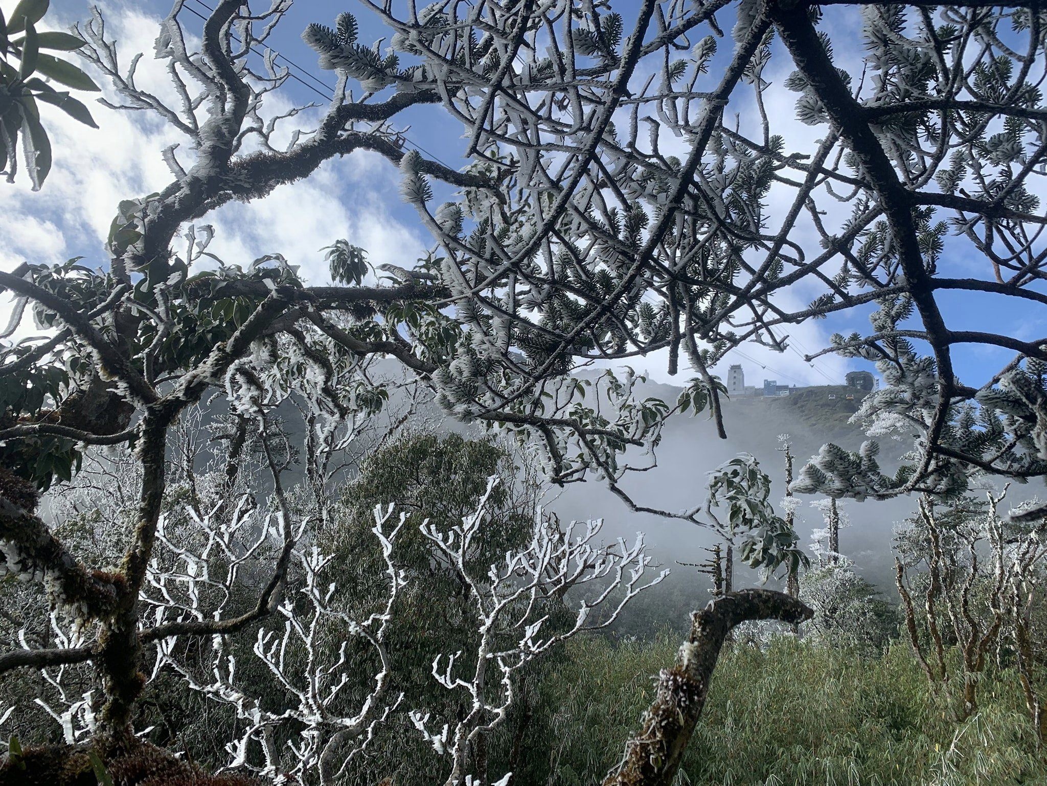 Bang gia phu trang dinh Fansipan hinh anh