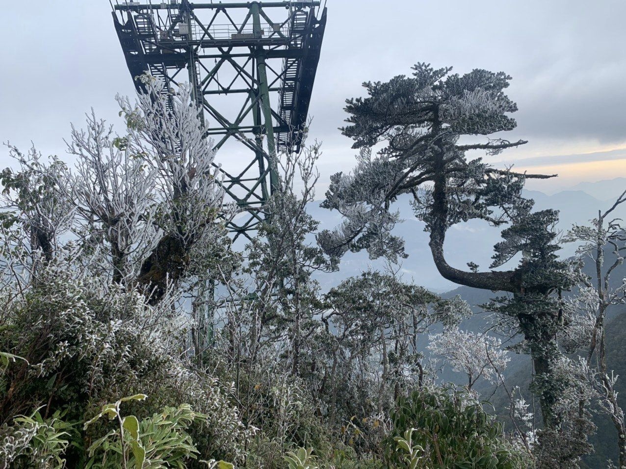 băng giá đỉnh Fansipan ảnh 5 bang gia dinh Fansipan anh 5