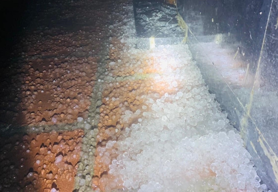 mua da dinh Fansipan anh 1